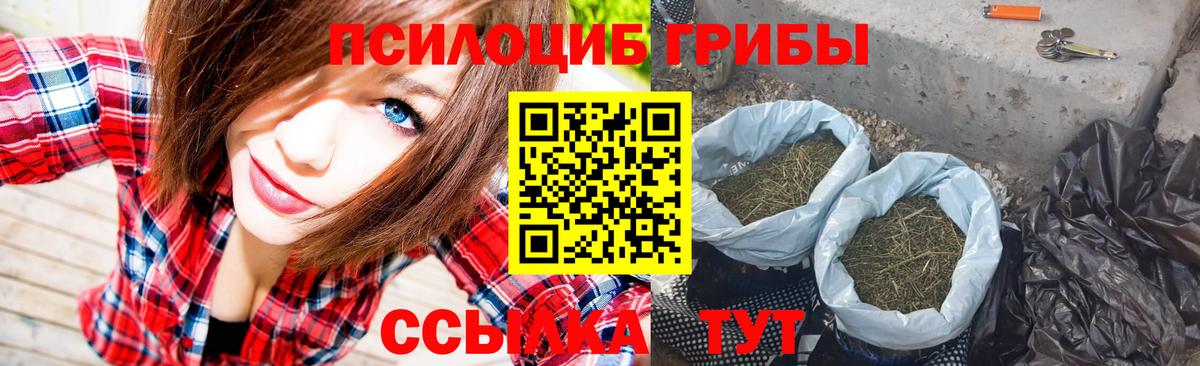 Тула  Псилоцибиновые грибы Magic Shrooms  Вход с VPN 